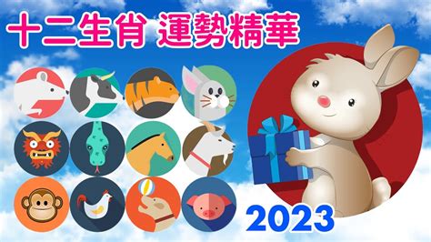 2023水兔年